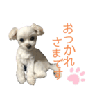 るあなずすたんぷ2（個別スタンプ：9）