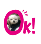 るあなずすたんぷ2（個別スタンプ：10）
