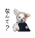 るあなずすたんぷ2（個別スタンプ：12）