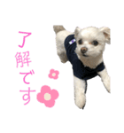 るあなずすたんぷ2（個別スタンプ：13）