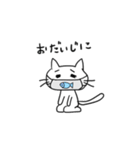 正座ねこ1（個別スタンプ：20）