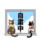 三毛猫も自粛中（個別スタンプ：5）