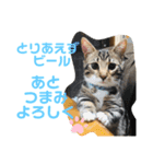 1日のおちび（個別スタンプ：5）