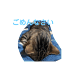 1日のおちび（個別スタンプ：8）