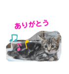 1日のおちび（個別スタンプ：15）