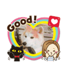 秋田犬 シュシュ/（個別スタンプ：10）