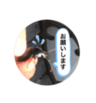 koncyuu4（個別スタンプ：3）