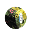 koncyuu4（個別スタンプ：4）