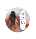 koncyuu4（個別スタンプ：6）