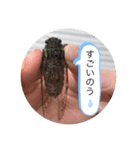 koncyuu4（個別スタンプ：8）