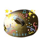 敬語♡猫のニコスタンプ（個別スタンプ：4）
