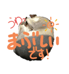 敬語♡猫のニコスタンプ（個別スタンプ：8）