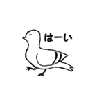 今日は鳩の日 シーズン2（個別スタンプ：3）
