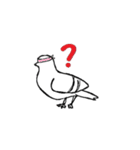 今日は鳩の日 シーズン2（個別スタンプ：5）