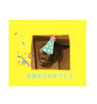 猫可愛い過ぎるよぉぉぉ（個別スタンプ：5）