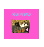 猫可愛い過ぎるよぉぉぉ（個別スタンプ：8）