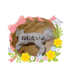大きな文字スタンプ犬（個別スタンプ：4）