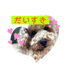 わんこののんびり生活（個別スタンプ：4）