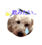 わんこののんびり生活（個別スタンプ：5）