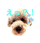 わんこののんびり生活（個別スタンプ：8）