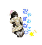 ♡愛犬レオンモナモア♡（個別スタンプ：3）