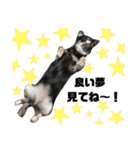 ♡愛犬レオンモナモア♡（個別スタンプ：4）