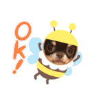 ♡愛犬レオンモナモア♡（個別スタンプ：8）