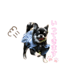 ♡愛犬レオンモナモア♡（個別スタンプ：10）