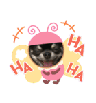 ♡愛犬レオンモナモア♡（個別スタンプ：13）