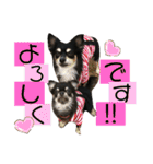 ♡愛犬レオンモナモア♡（個別スタンプ：17）