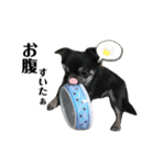 ♡愛犬レオンモナモア♡（個別スタンプ：26）