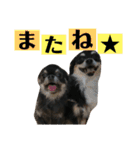 ♡愛犬レオンモナモア♡（個別スタンプ：39）