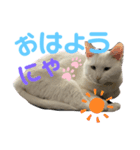 宮空春風日（個別スタンプ：1）