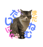 宮空春風日（個別スタンプ：2）