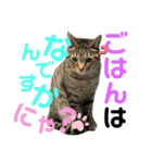 宮空春風日（個別スタンプ：3）
