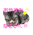 宮空春風日（個別スタンプ：6）