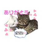 宮空春風日（個別スタンプ：8）