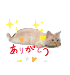 りずくん！！（個別スタンプ：4）