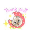 りずくん！！（個別スタンプ：8）