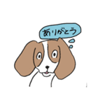 いけいけビーグルちゃん（個別スタンプ：3）