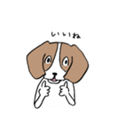 いけいけビーグルちゃん（個別スタンプ：6）
