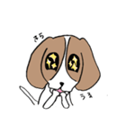 いけいけビーグルちゃん（個別スタンプ：33）