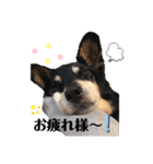 まろぴの1日（個別スタンプ：7）