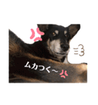 まろぴの1日（個別スタンプ：17）