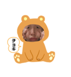 カエルだぼん（個別スタンプ：7）