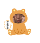 カエルだぼん（個別スタンプ：8）