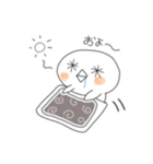 ぴぴた日常（個別スタンプ：3）