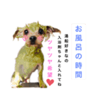 あずきによる代弁（個別スタンプ：4）