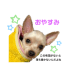 あずきによる代弁（個別スタンプ：7）
