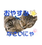 吾郎です。（個別スタンプ：2）